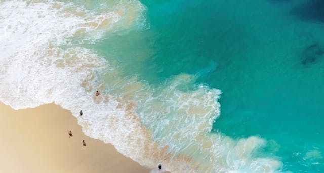 Jan 23: Resilience Training Advanced ...