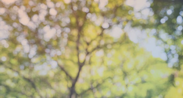 July 2: Summer Breathwork (30 min)