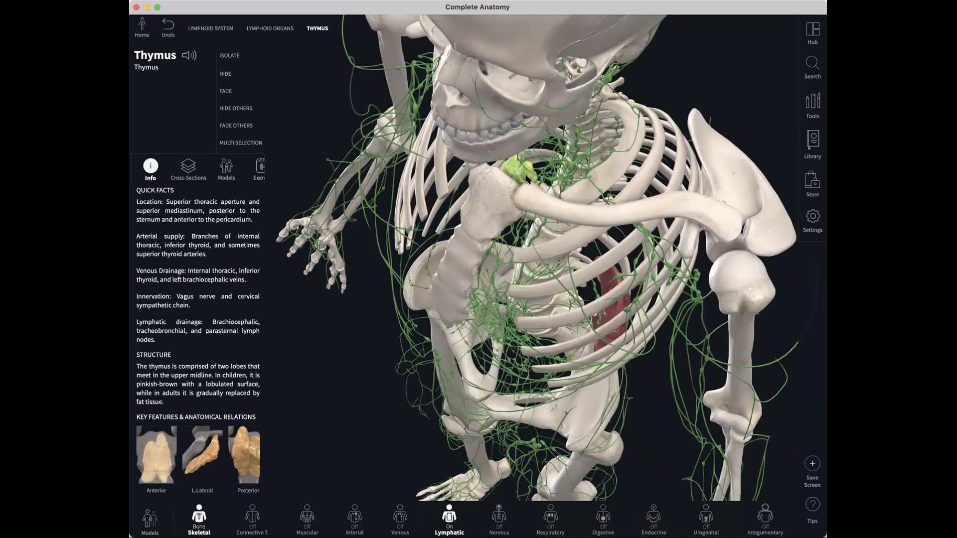 April 15: Lymphatic Kriya 