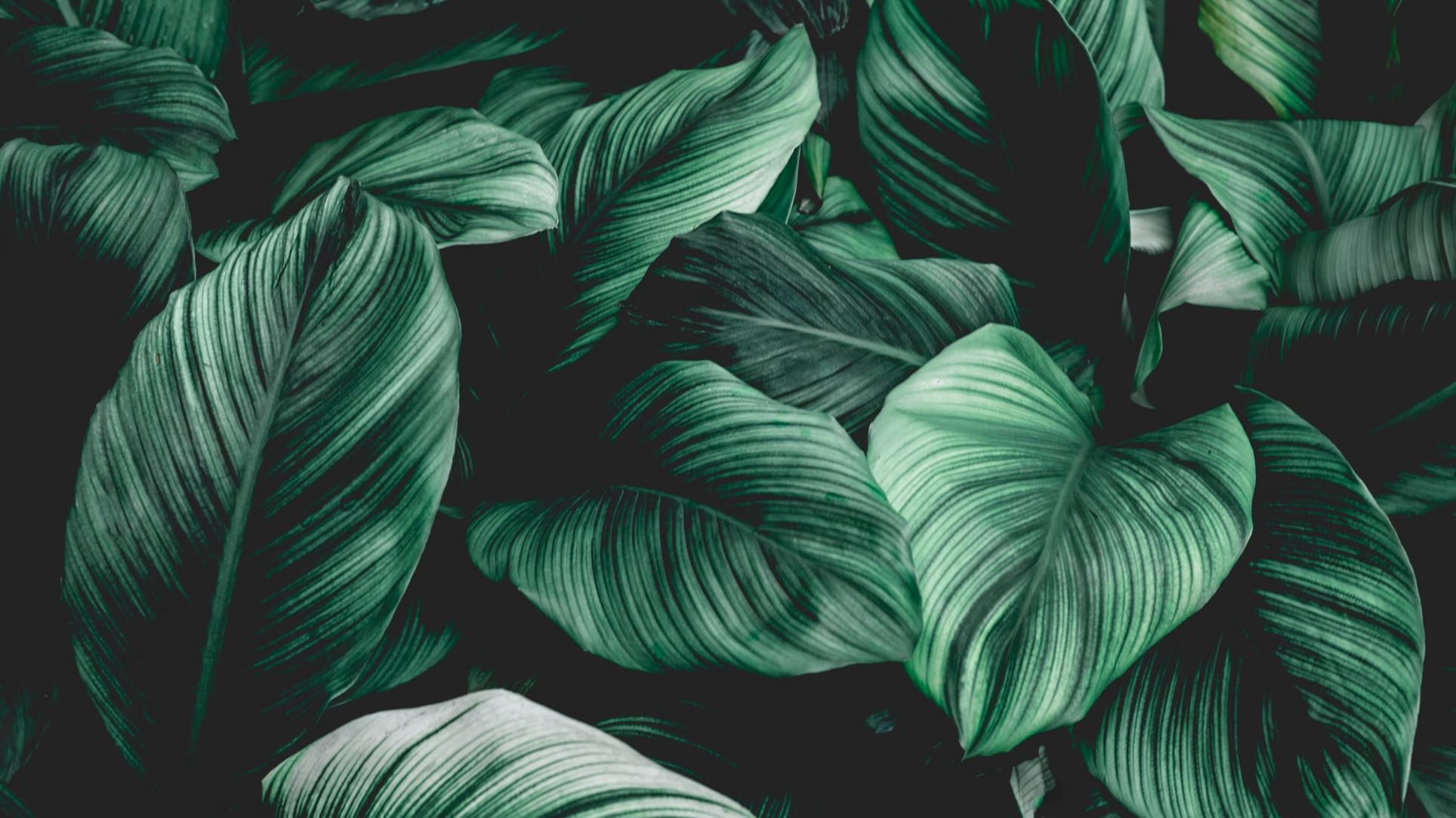 Aug 22: Advanced Mixed Breathwork (30 min)