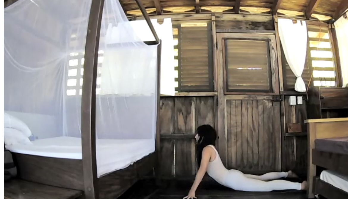 Open your Spine! Progressive Backbends (60 min)