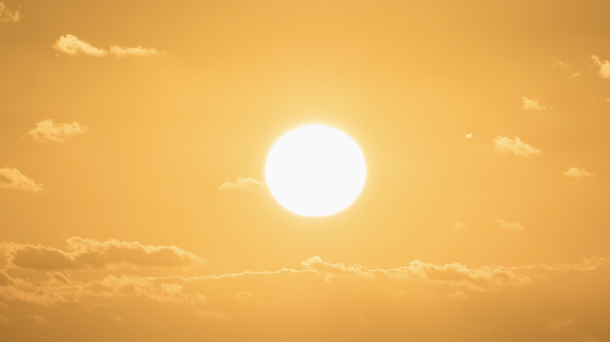 Breatwork for Clarity: The Sun Kriya (31 min) 