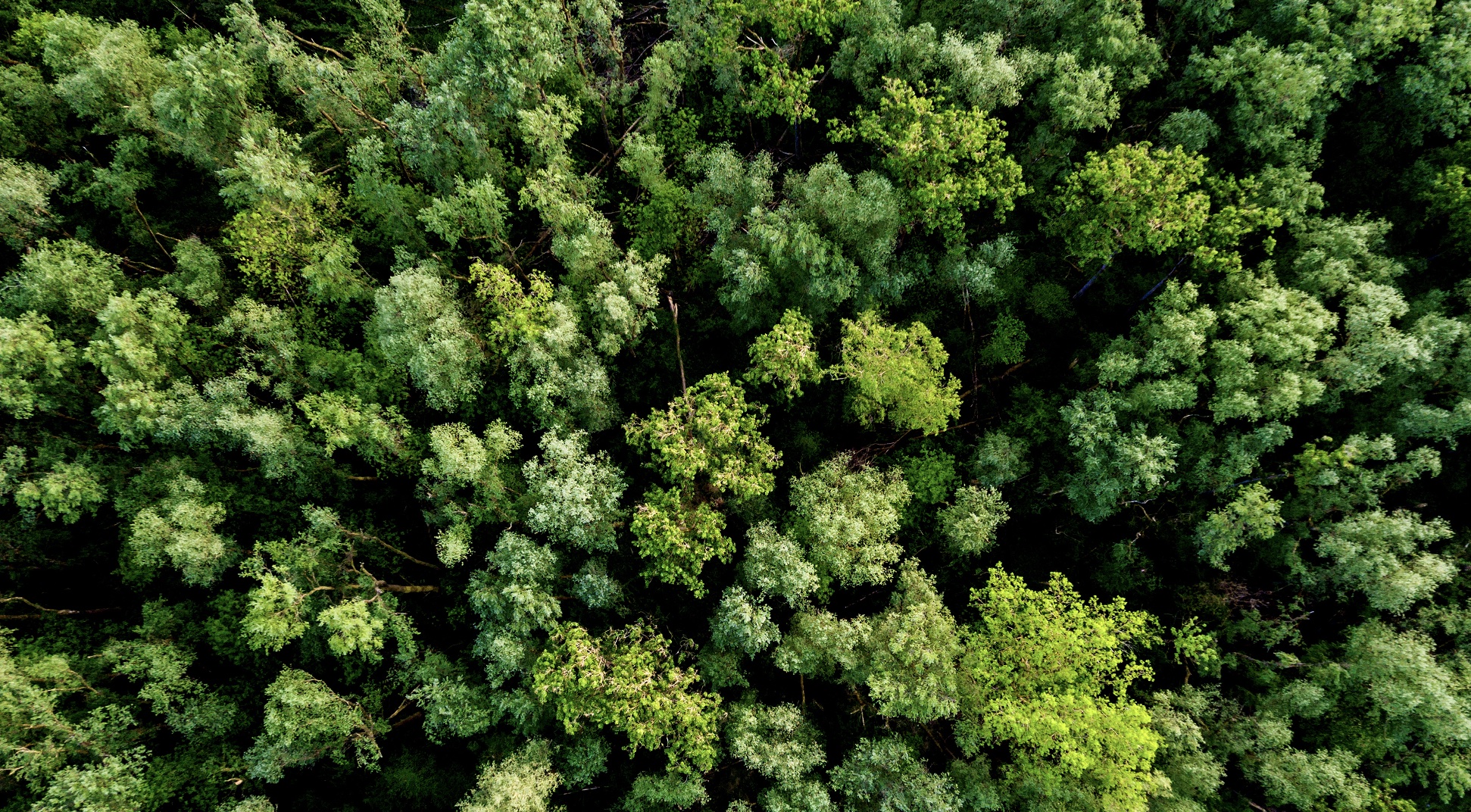 Body Scan Lying Down Meditation with Music (42 min) 