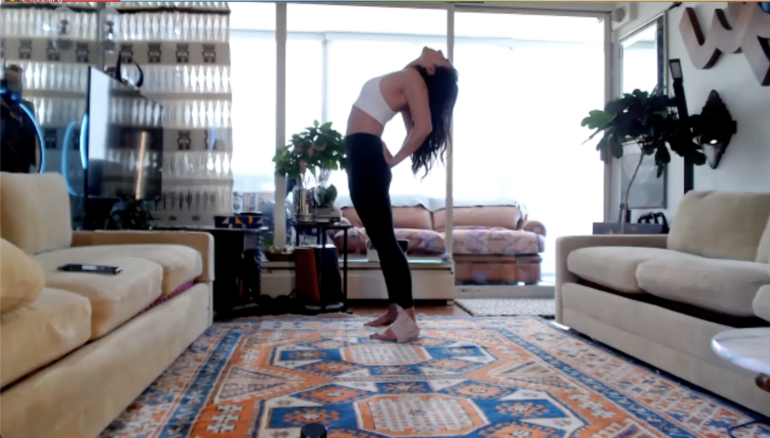 Gentle Hatha for the Spine (40 min) 