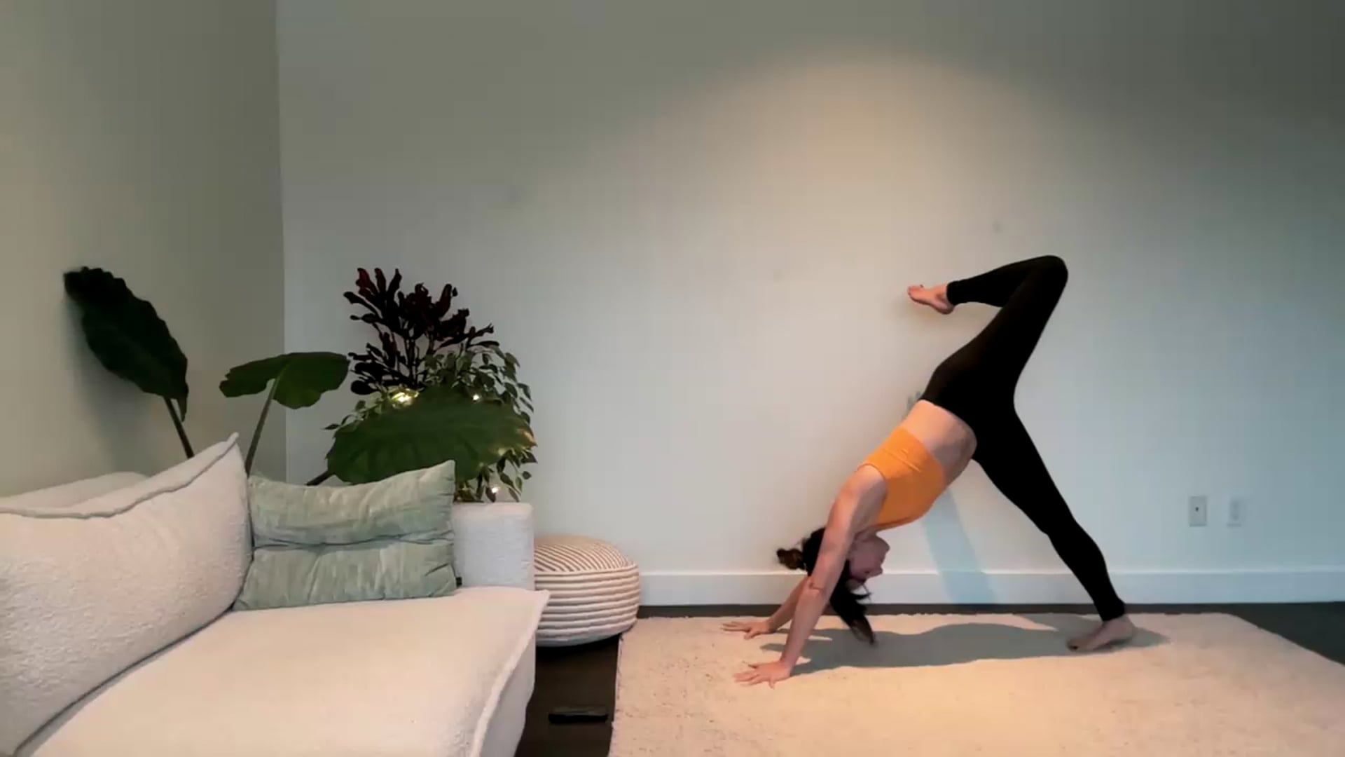 Feb 7: Long-Form Practice to Bird of Paradise: (75 min) 