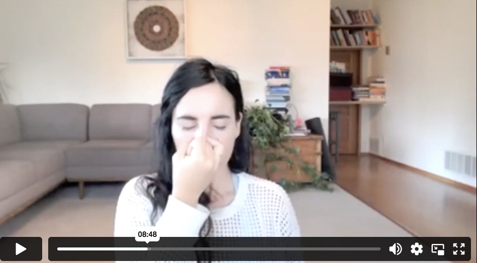 Pranayama & Mantra for Mind Noise (30 min) 