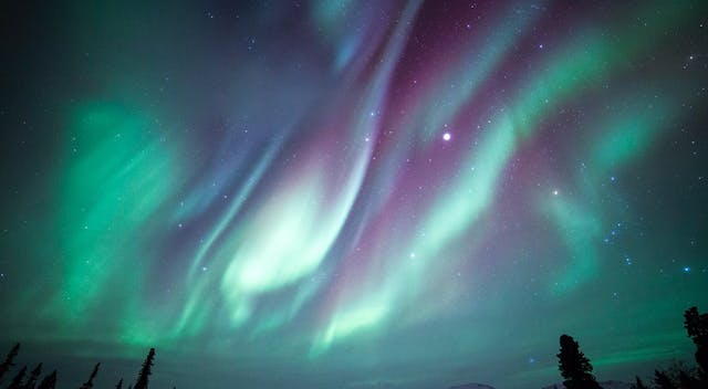 Dec 30: Compassion Inquiry & Mixed Br...