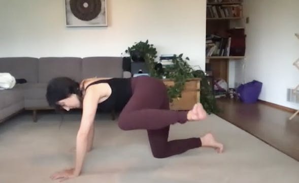 Oct 19: Gluteal Focus: Strength and S...