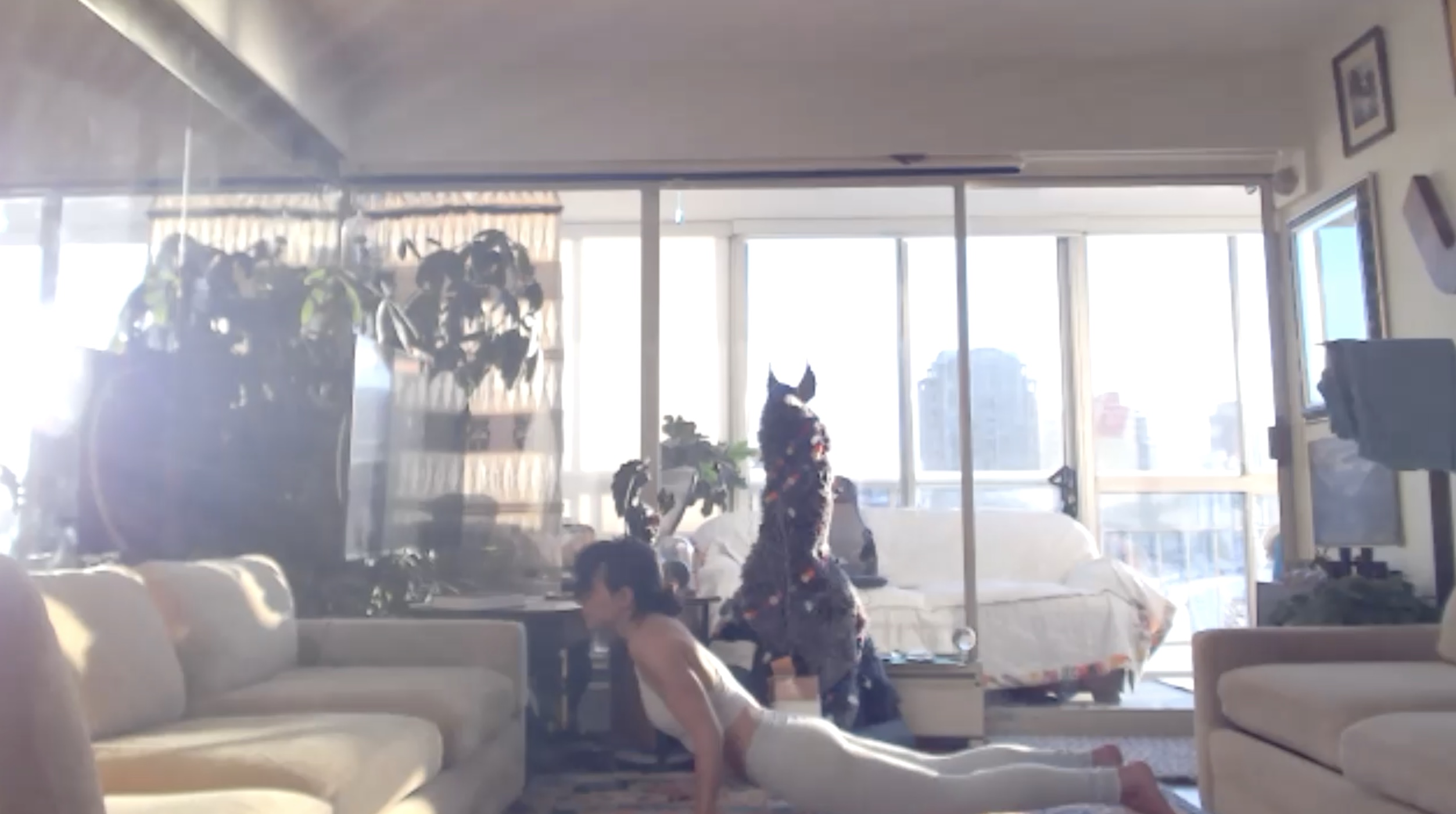 Building Flow, Twists & Core (50 min) 