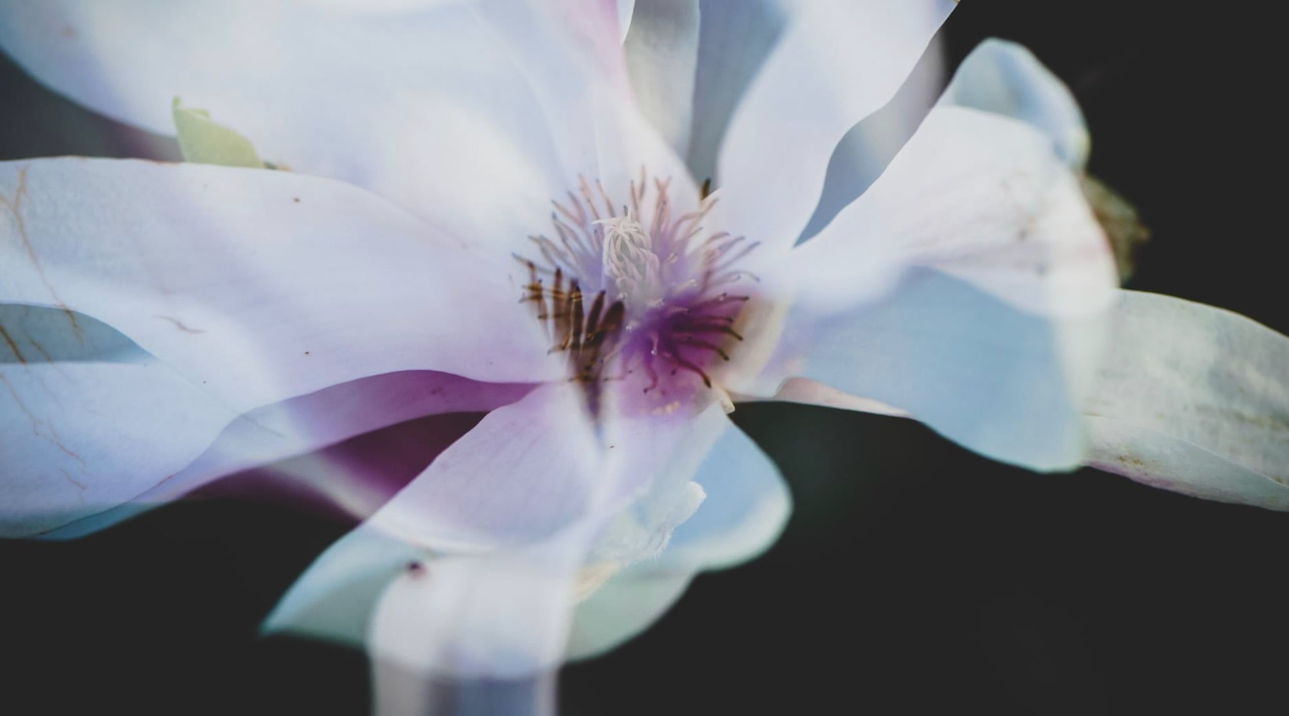 Mar 11: Advanced Breath: Dopamine & Pratyahara (33 min)