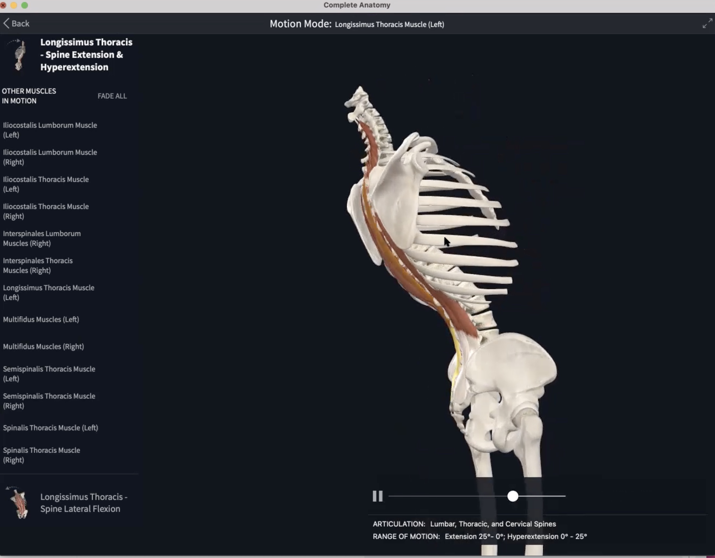 The Spine, Extension & Anatomical Cueing (60 min) 