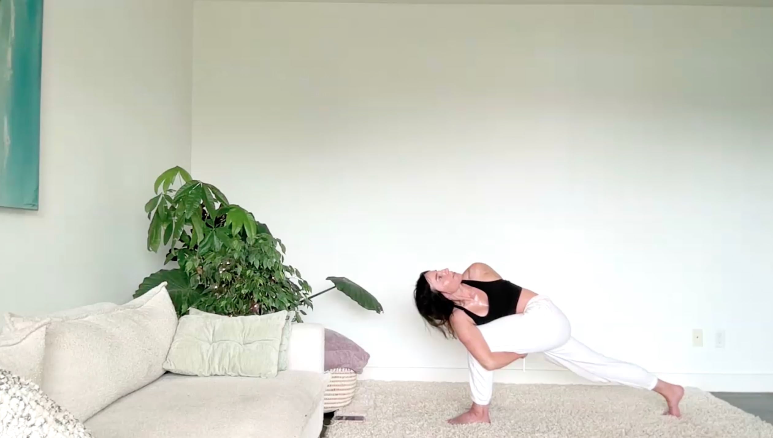 July 31: Vinyasa Flow: Hips & Backbends