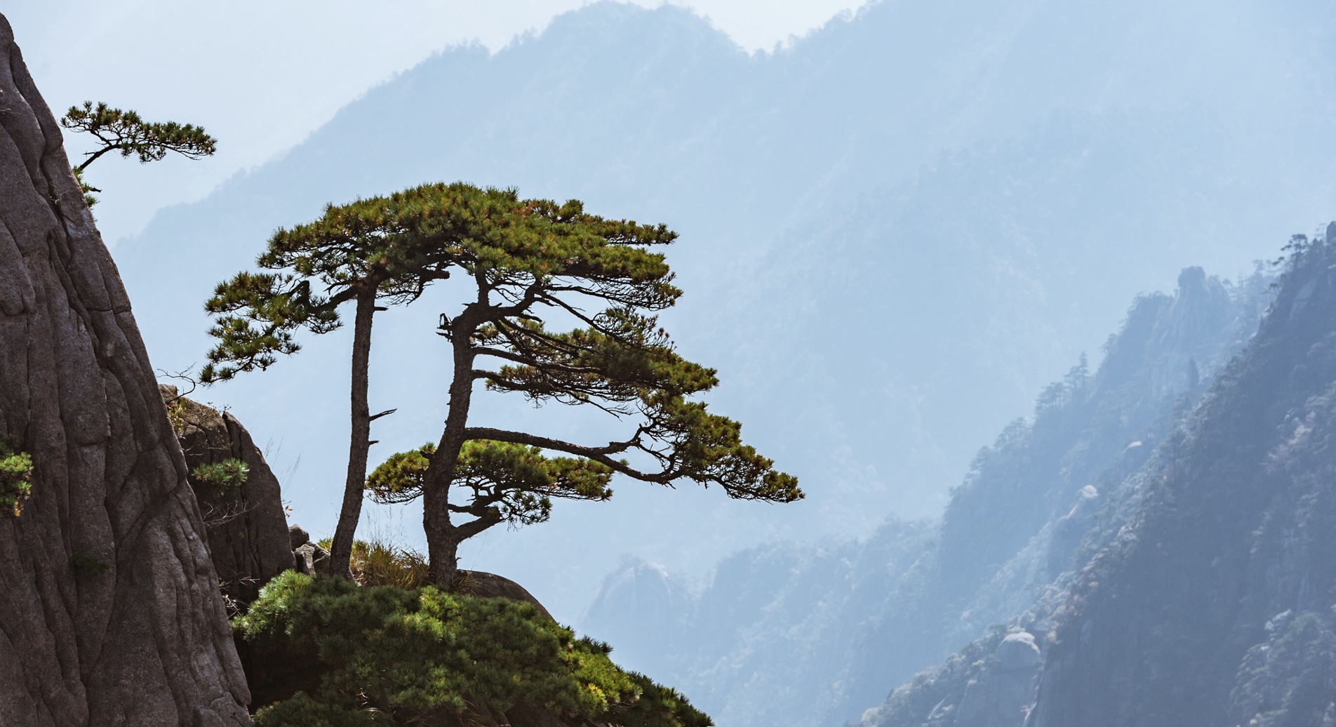 Oct 21: Spinal Flex Breath: "Spontaneous Recognition" (30 min)