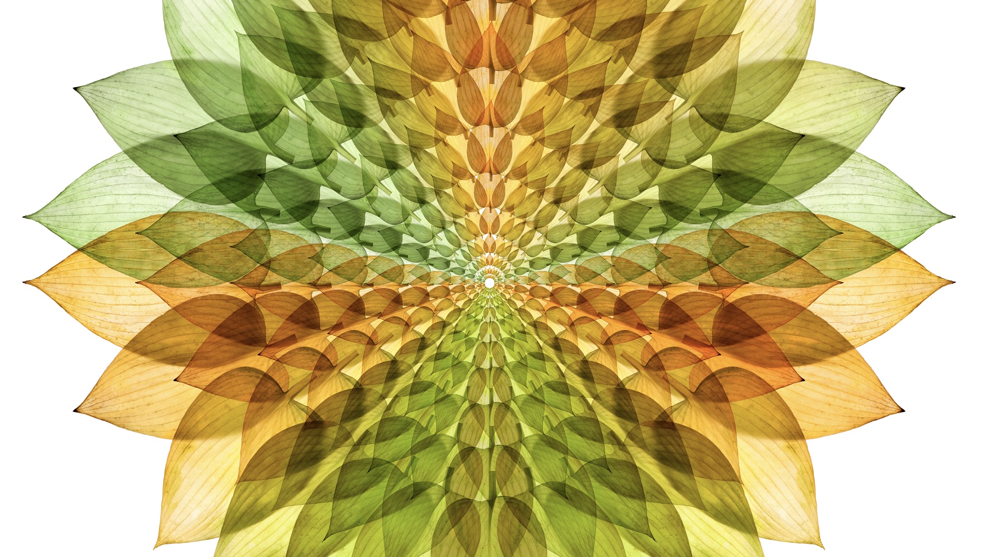 Sept 24: Breath: Peter Levine on PTSI: Trauma = Injury, not Disorder (30 min) 