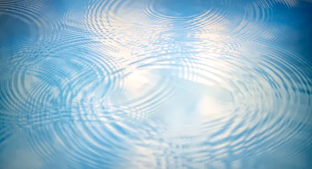 Apr 23: Soothing "Self-Recognition" B...