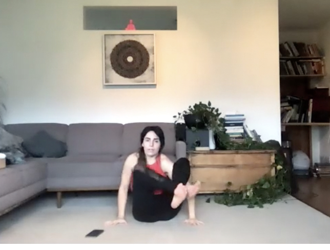 Jan 7: Shoulder Openers + 4 Arm Balances