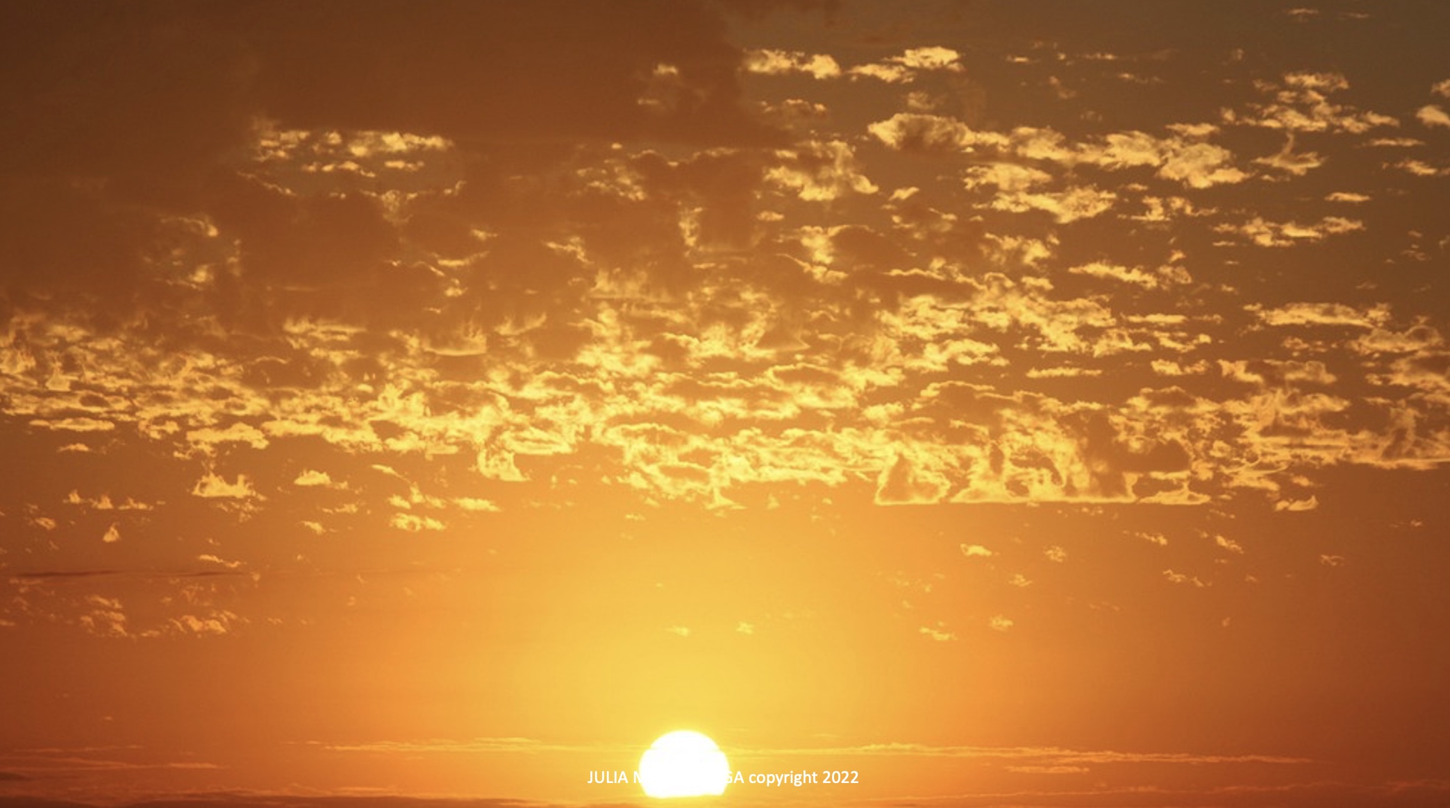 Feb 3: Intermediate Breath Practice (30 min) 