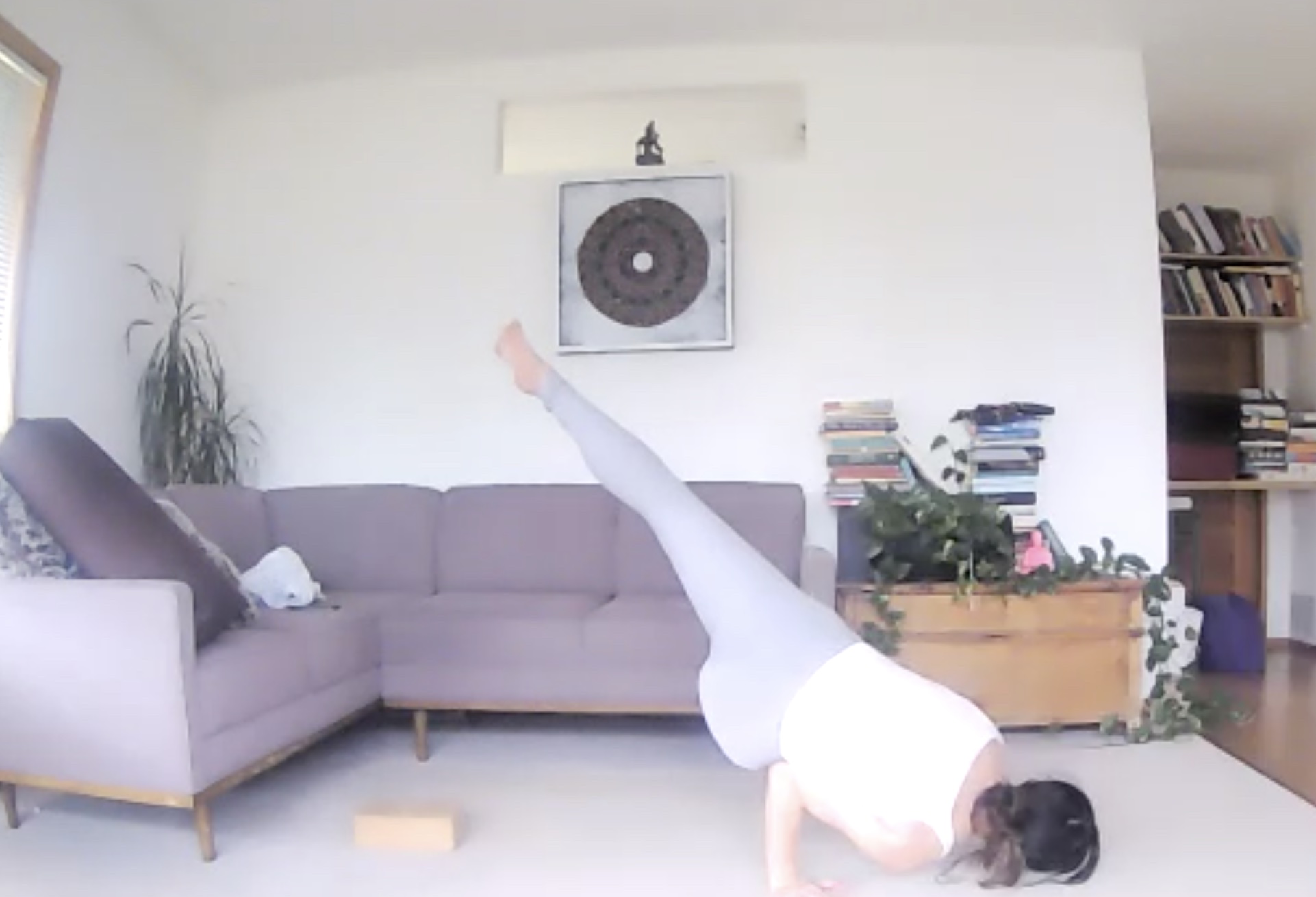 Detox Breath + Core + Arm Balancing (Nov 8) 
