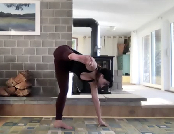 Jan 19: Tapas Building for Temperament 