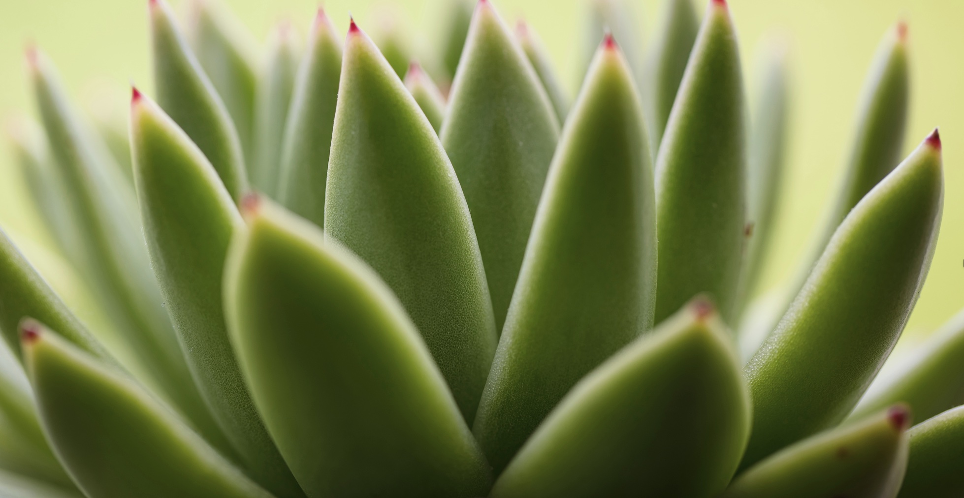 March 11: Oxytocin & Calming Breath (30 min)