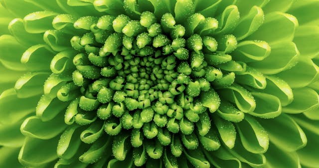 June 14: Advanced Breathwork, Mood & ...