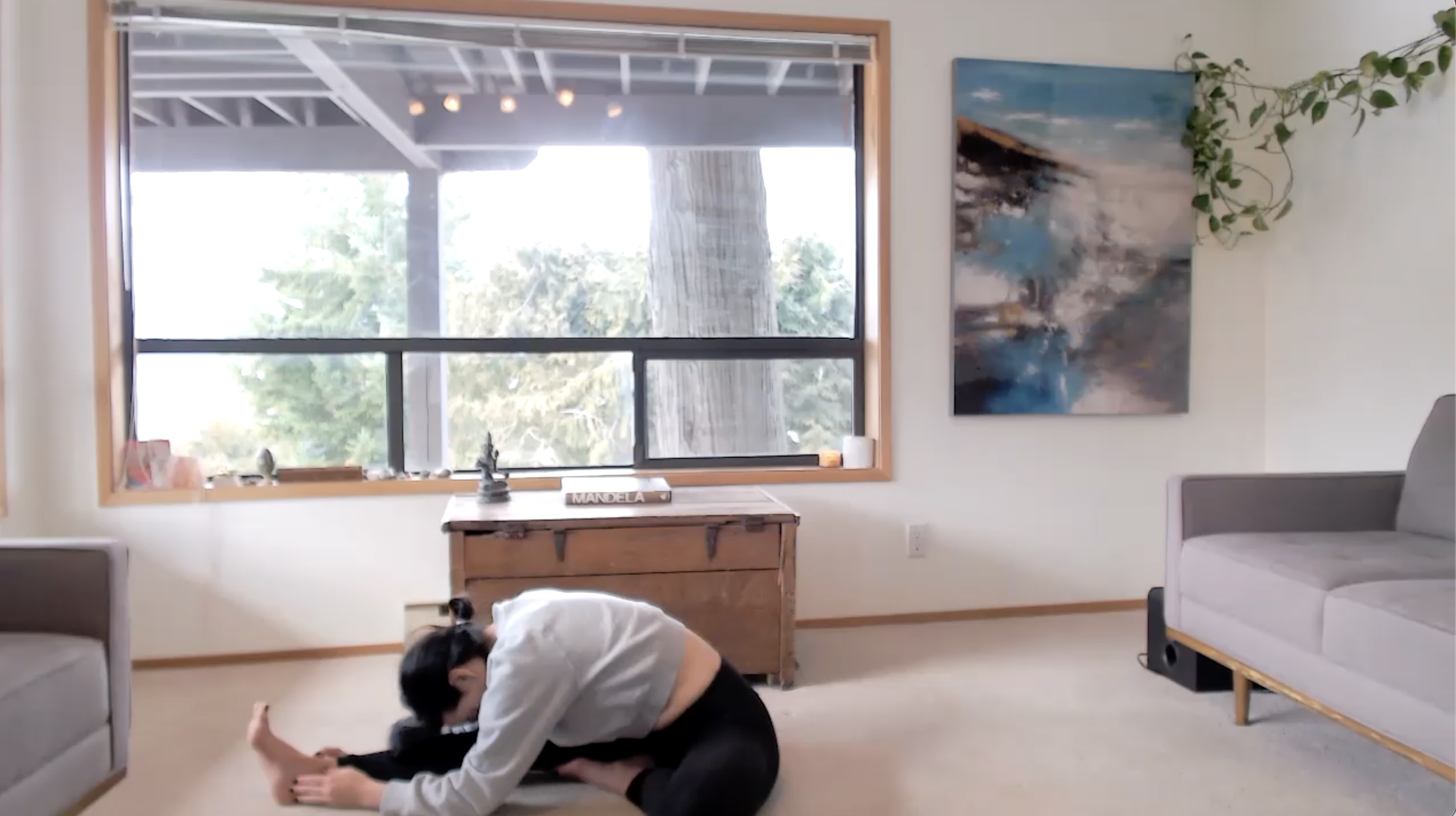 Neck to Toes Restorative (+Myofascial Release) 60 min 