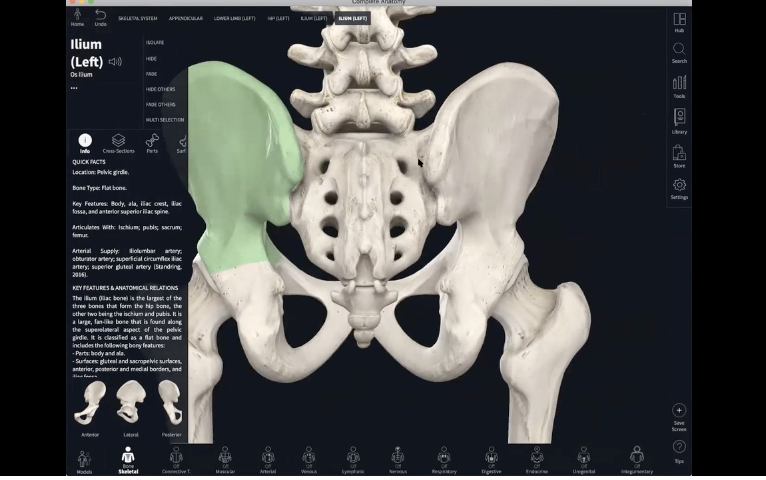 Dec 8: SI Joint Dysfunction: What is it? And Practice 