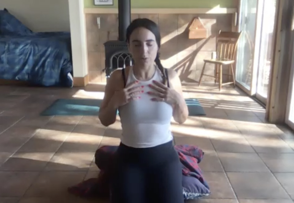 Nov 4: Sudarshan Kriya "Beautiful/Proper Vision" Calming