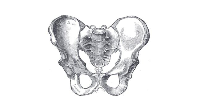 Oct 1: Dynamic &  Pelvic Diaphragm Br...