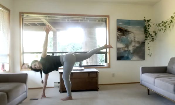 Twists & Gut Brain Axis Flow (45 min) 