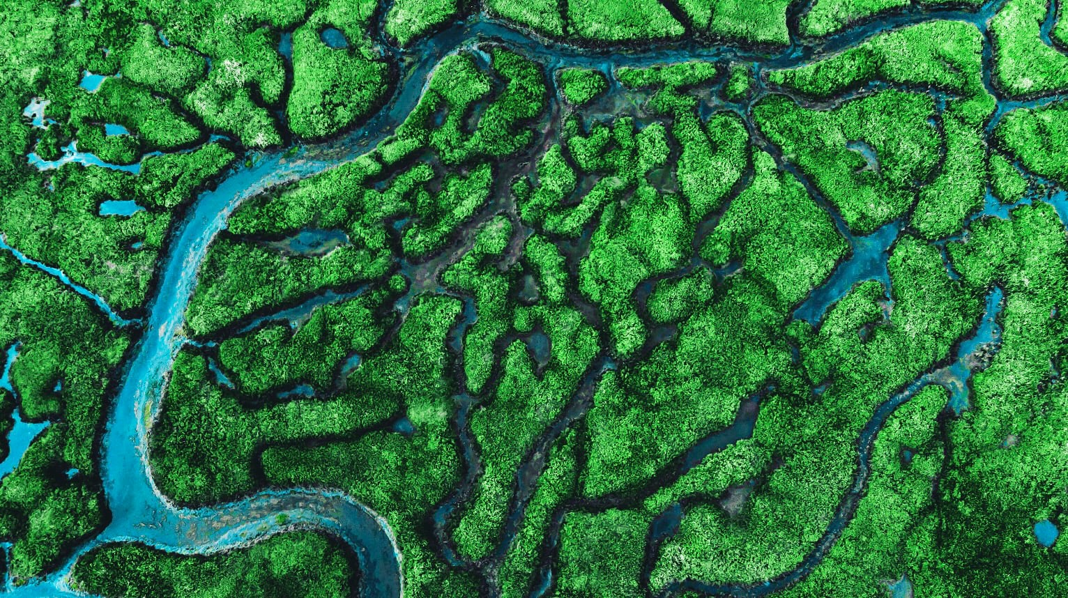 Apr 7: Lymphatic Flush Breathwork (30 min)