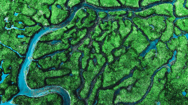 Apr 7: Lymphatic Flush Breathwork (30...