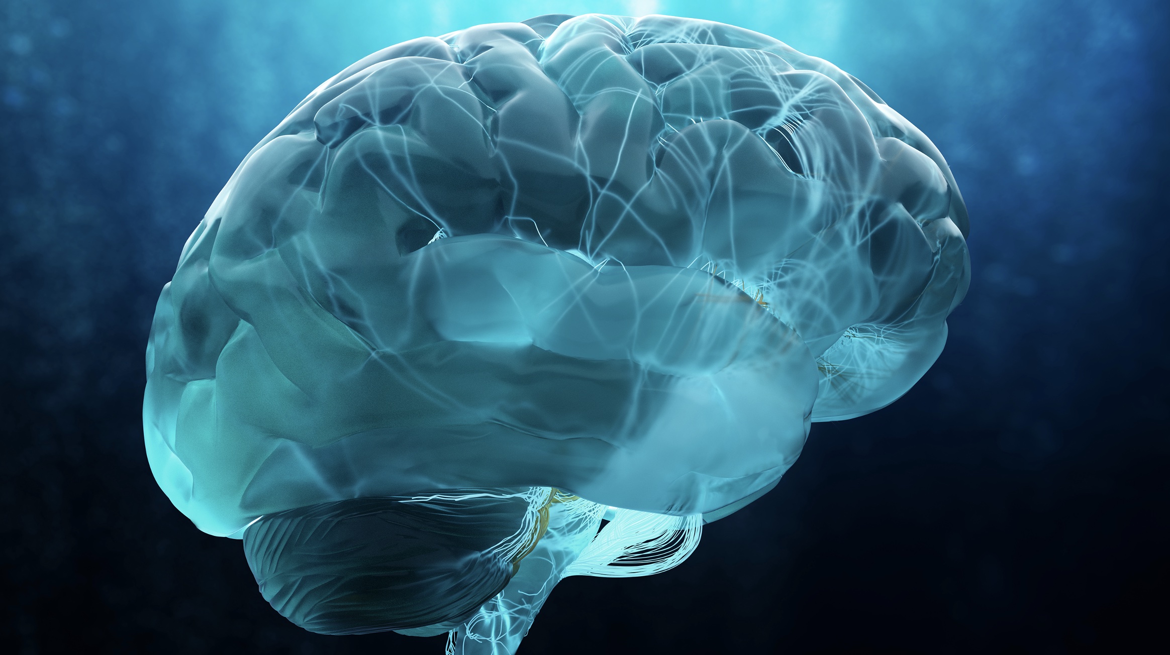 Nov 25: Cortisol/Adrenaline Informed Breathwork (31 min)