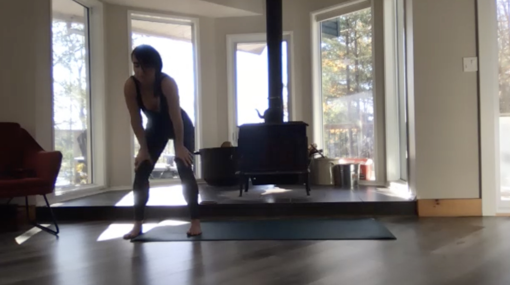 Nov 2: The Vayus: Emotion vs Pragmatism