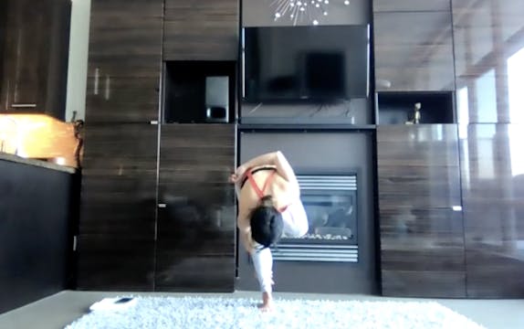 Feb 11: Balancing & Bird of Paradise