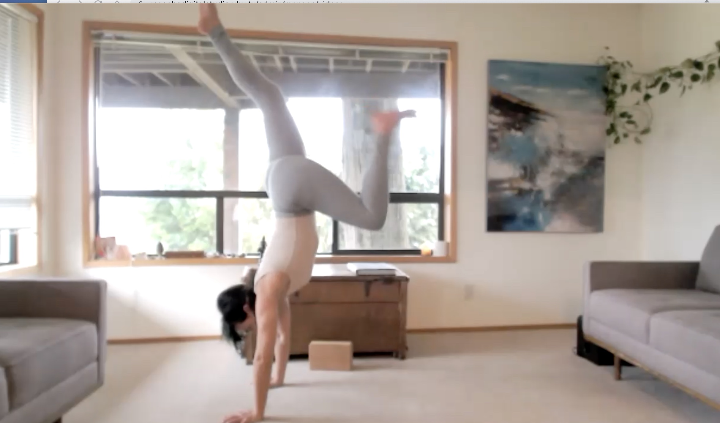 Cathartic Flow = Abs + Hops + Glutes (60 min)