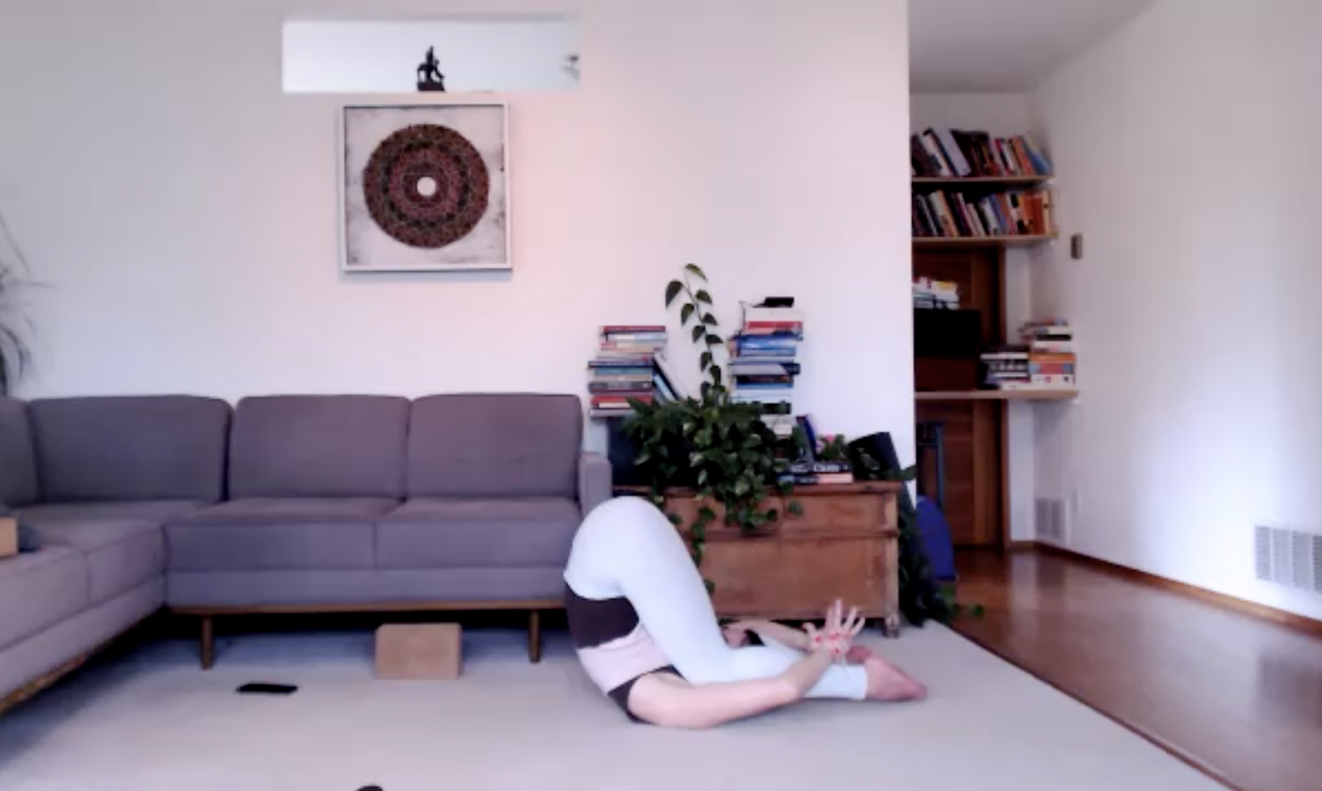 Spring Series: Core + Lymph Flush (48 min)