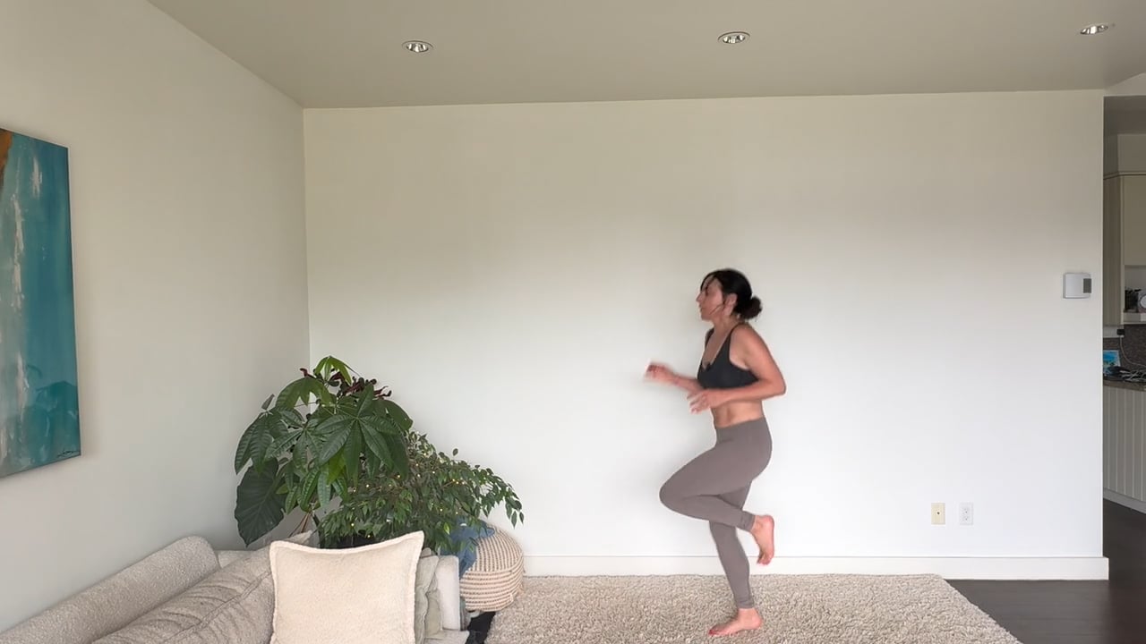 NEW HIIT: High Intensity Interval Training + Abs (minimal cueing) 47 min
