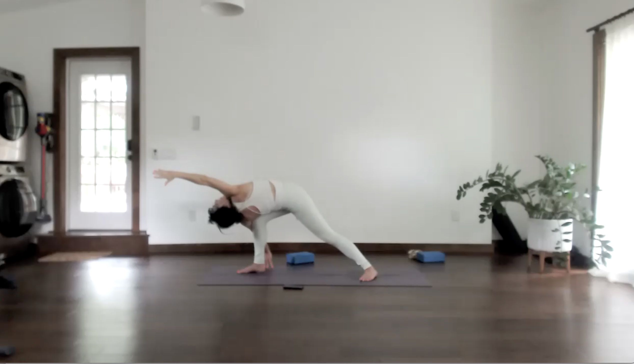 Detox & Twists (45 min) 