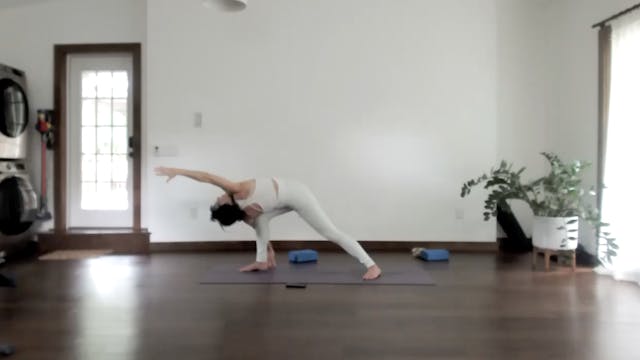 Detox & Twists (45 min)
