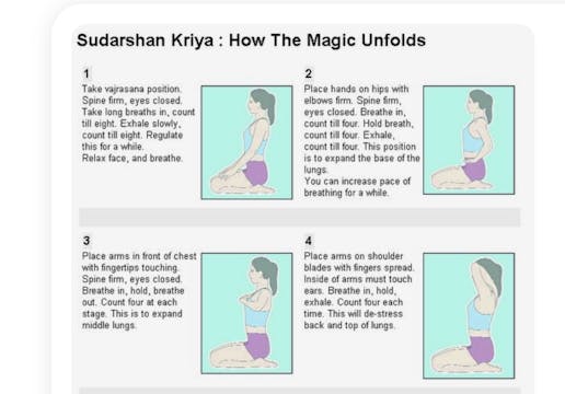 Sudarshan Kriya (30 min) Breathwork