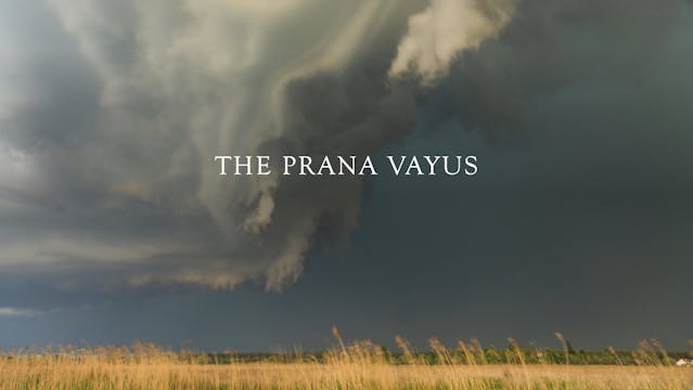 May 5: Lesson on the Prana Vayus + Br...