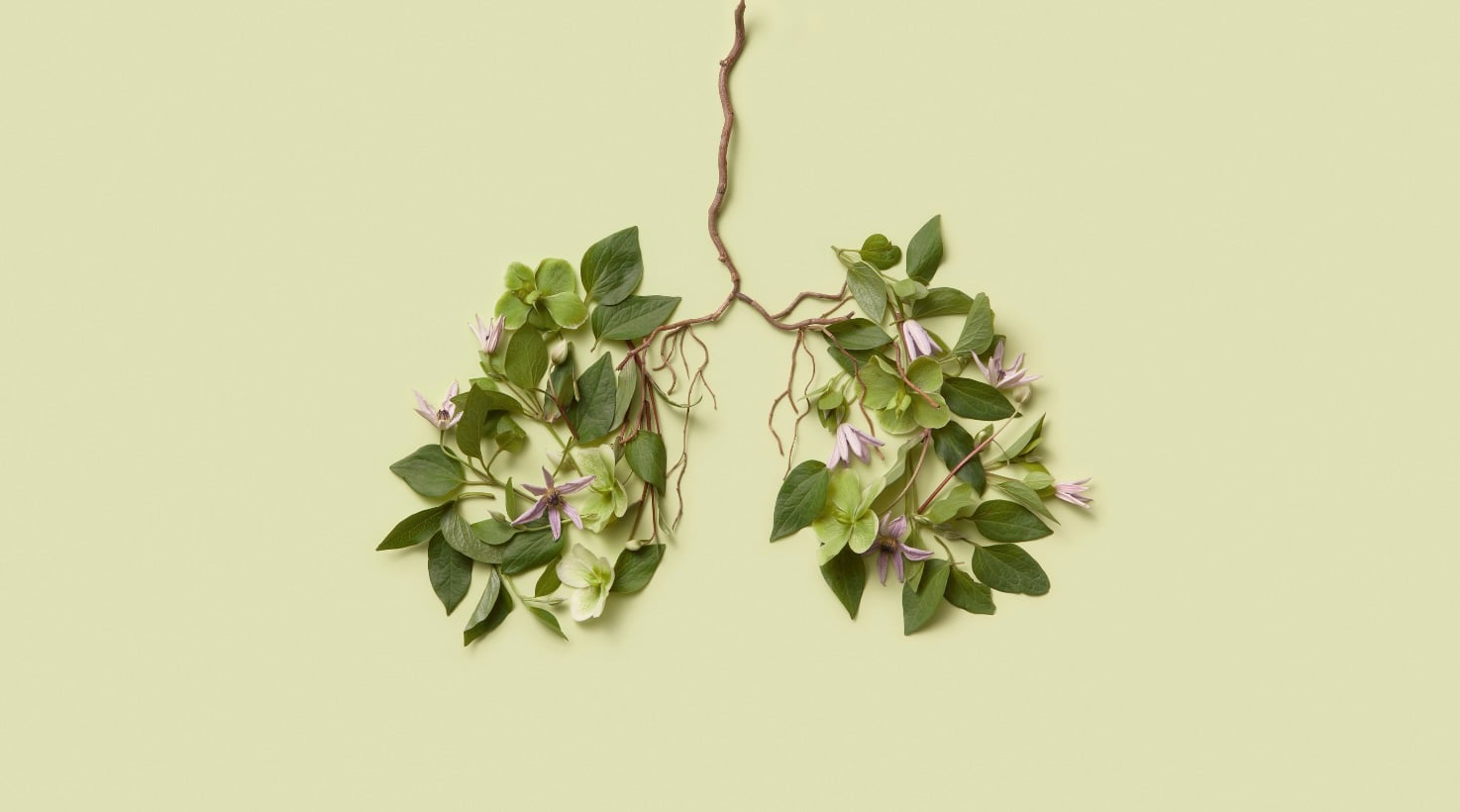 Nov 11: Awakening Kriya for Shoulders & Lungs (31 min)