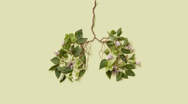 Nov 11: Awakening Kriya for Shoulders...