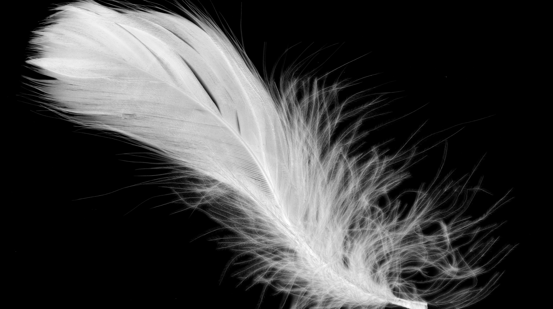 Apr 10: Gentle Breath Practice (30 min) 