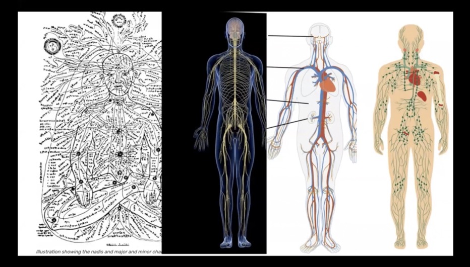July 20: Balancing The Nadis (Pranayama Set)