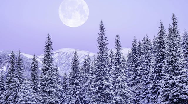 Jan 5: Resilience Breath & Spinal Fle...