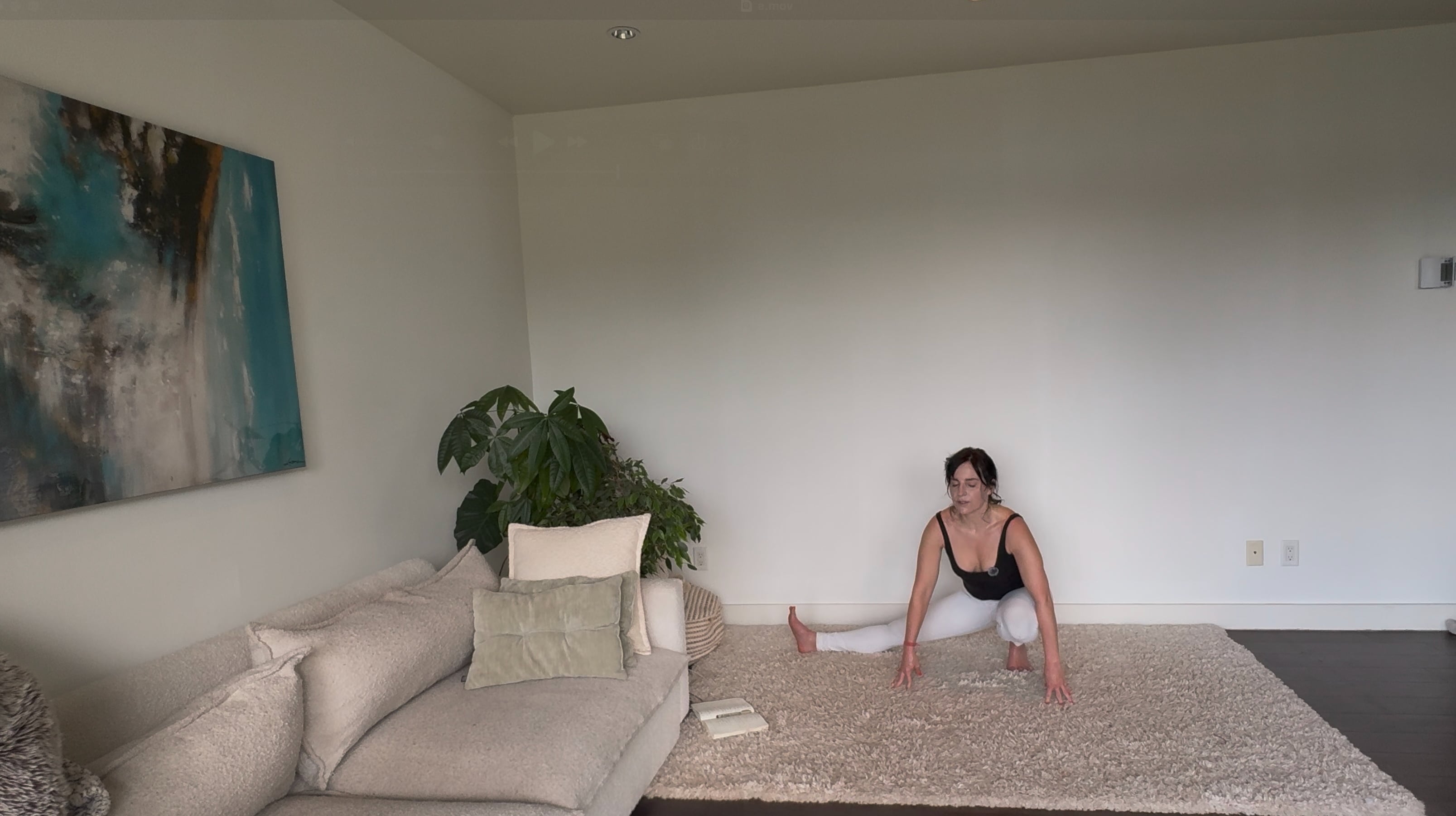 Apr 17: Dynamic Breath, Yoga & Somatic Flush (42 min)