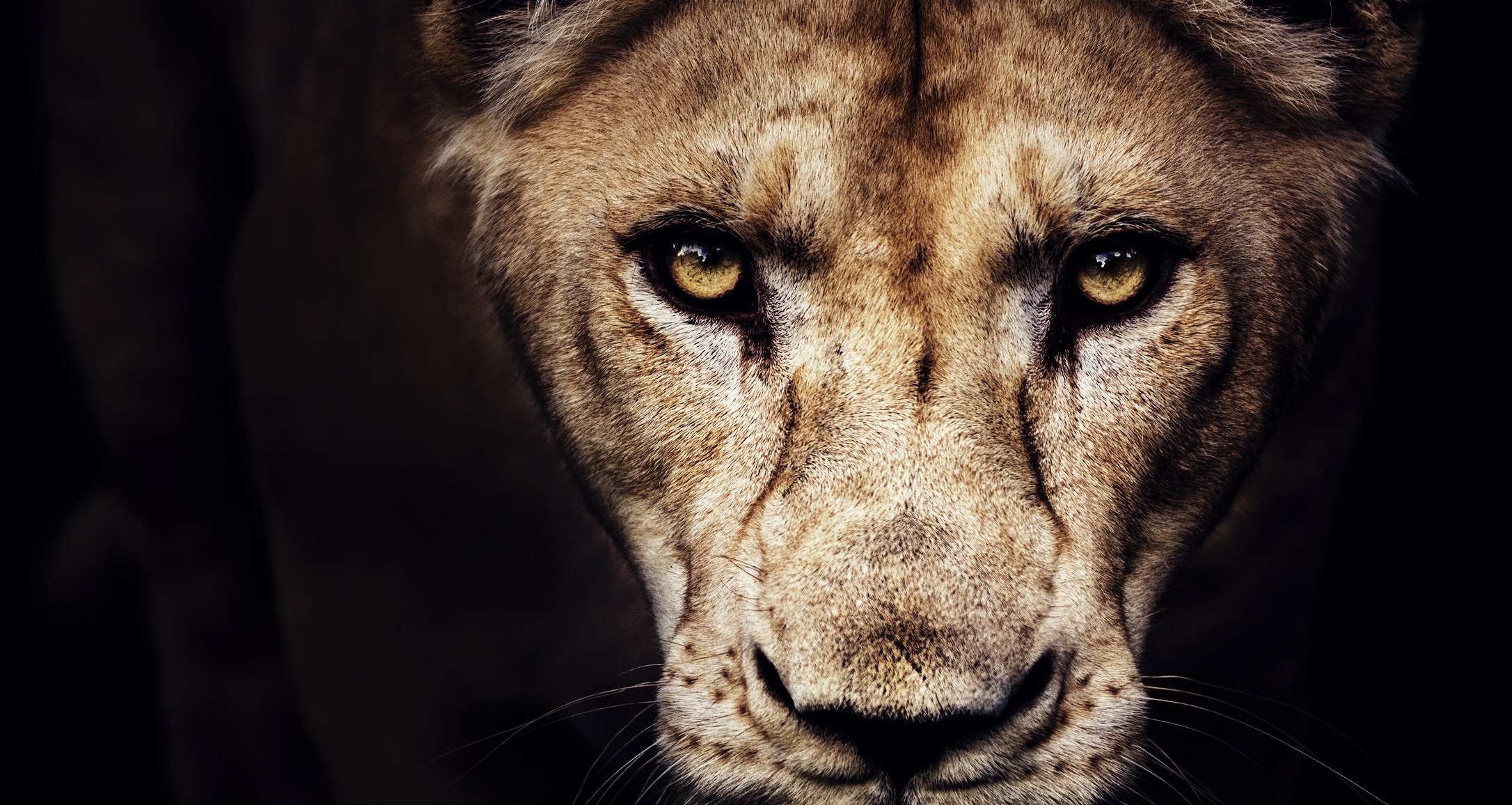 Jan 13: Breathwork for Your Inner Critic (31 min)