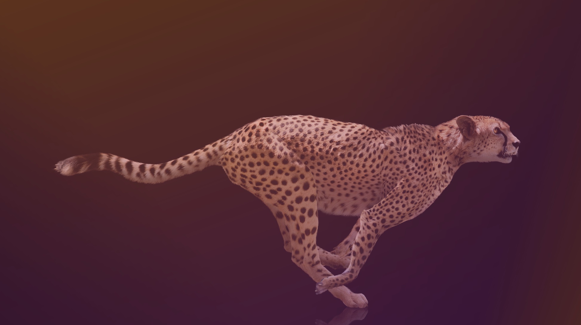 Advanced Breath: Serotonin-Dopamine Express (30 min) 